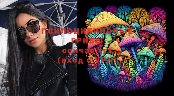 синтетический гашиш Шадринск