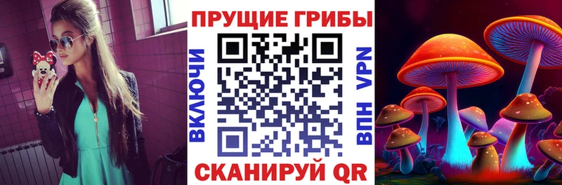 Купить  Рузаевка  Псилоцибиновые грибы Magic Shrooms 